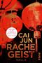 Rachegeist Cover des Buches Rachegeist (ISBN: 9783492059039)