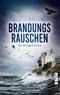 Brandungsrauschen Cover des Buches Brandungsrauschen (ISBN: 9783492505376)