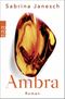 Ambra Cover des Buches Ambra (ISBN: 9783499012204)