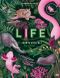 LIFE – Die bunte Vielfalt des Lebens Cover des Buches LIFE – Die bunte Vielfalt des Lebens (ISBN: 9783570182598)