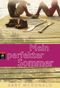 Mein perfekter Sommer Cover des Buches Mein perfekter Sommer (ISBN: 9783570401361)