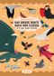 Das große bunte Buch vom Fliegen (Vögel, Flugzeuge, Insekten & Co.) Cover des Buches Das große bunte Buch vom Fliegen (Vögel, Flugzeuge, Insekten & Co.) (ISBN: 9783730608364)