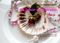 Die Dinner der Aphrodite Cover des Buches Die Dinner der Aphrodite (ISBN: 9783732242412)