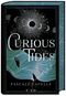 Curious Tides Cover des Buches Curious Tides (ISBN: 9783737343756)