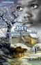 Joey-Das Geheimnis von Swake Valley Cover des Buches Joey-Das Geheimnis von Swake Valley (ISBN: 9783740749880)