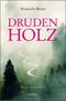 Drudenholz Cover des Buches Drudenholz (ISBN: 9783740804503)