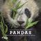 Pandas Cover des Buches Pandas (ISBN: 9783742306807)