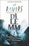 Davids Dilemma Cover des Buches Davids Dilemma (ISBN: 9783743216556)