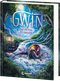 Gwin und das Herz des Drachen (Band 1) Cover des Buches Gwin und das Herz des Drachen (Band 1) (ISBN: 9783743219861)