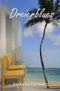 Dreierblues Cover des Buches Dreierblues (ISBN: 9783748514664)