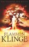 Flammenklinge Cover des Buches Flammenklinge (ISBN: 9783749480029)
