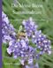 Die kleine Biene Summmalrum Cover des Buches Die kleine Biene Summmalrum (ISBN: 9783749495924)