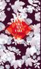 Till we fall Cover des Buches Till we fall (ISBN: 9783749721115)