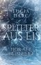 Splitter aus Eis Cover des Buches Splitter aus Eis (ISBN: 9783756865758)