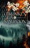 Die Chroniken von Sandarion Cover des Buches Die Chroniken von Sandarion (ISBN: 9783757861285)