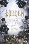 Hidden - Storm Eyes Cover des Buches Hidden - Storm Eyes (ISBN: 9783757944834)