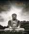 Buddha. Fotografien von Michael Kenna: Mit 104 inspirierenden Buddhaporträts aus aller Welt Cover des Buches Buddha. Fotografien von Michael Kenna: Mit 104 inspirierenden Buddhaporträts aus aller Welt (ISBN: 9783791385389)