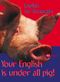 Your English is under all pig Cover des Buches Your English is under all pig (ISBN: 9783821826974)