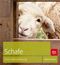 Schafe Cover des Buches Schafe (ISBN: 9783835411395)