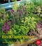 Der kleine Bio-Kräutergarten Cover des Buches Der kleine Bio-Kräutergarten (ISBN: 9783835413559)