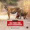 Die Tiger von Ranthambhore Cover des Buches Die Tiger von Ranthambhore (ISBN: 9783836921688)