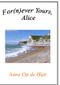 For(n)ever Yours, Alice Cover des Buches For(n)ever Yours, Alice (ISBN: 9783844275605)