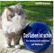 Das Leben ist schön: Eine abenteuerliche Katzenliebe auf Mallorca Cover des Buches Das Leben ist schön: Eine abenteuerliche Katzenliebe auf Mallorca (ISBN: 9783844296877)