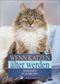Wenn Katzen älter werden Cover des Buches Wenn Katzen älter werden (ISBN: 9783861271277)