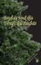 Sophie und die Kraft des Lichts Cover des Buches Sophie und die Kraft des Lichts (ISBN: 9783861963561)