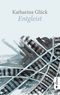 Entgleist (Roman) Cover des Buches Entgleist (Roman) (ISBN: 9783862826568)