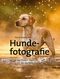 Hundefotografie Cover des Buches Hundefotografie (ISBN: 9783864906909)