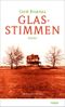 Glasstimmen Cover des Buches Glasstimmen (ISBN: 9783866481213)