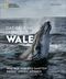 Das geheime Leben der Wale Cover des Buches Das geheime Leben der Wale (ISBN: 9783866907621)
