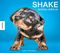 Shake – Hundebabys schütteln sich Cover des Buches Shake – Hundebabys schütteln sich (ISBN: 9783868738087)