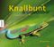Knallbunt und unsichtbar Cover des Buches Knallbunt und unsichtbar (ISBN: 9783868739190)