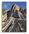 THE FACE OF THE EARTH Cover des Buches THE FACE OF THE EARTH (ISBN: 9783901753695)