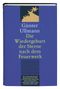 Die Wiedergeburt der Sterne nach dem Feuerwerk Cover des Buches Die Wiedergeburt der Sterne nach dem Feuerwerk (ISBN: 9783940111470)