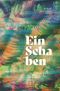 Ein Schaben Cover des Buches Ein Schaben (ISBN: 9783944716640)