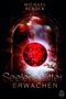 Seelensplitter - Erwachen Cover des Buches Seelensplitter - Erwachen