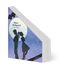 Mister Bodyguard Cover des Buches Mister Bodyguard (ISBN: 9783946793175)
