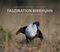 Faszination Birkhuhn Cover des Buches Faszination Birkhuhn (ISBN: 9783947379149)