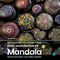 einwandfrei unperfekt : Dein wunderbares Mandala - Steine bemalen und selbst gießen Cover des Buches einwandfrei unperfekt : Dein wunderbares Mandala - Steine bemalen und selbst gießen (ISBN: 9783948033354)