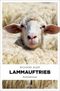Lammauftrieb Cover des Buches Lammauftrieb (ISBN: 9783954517091)