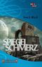 Spiegelschmerz Cover des Buches Spiegelschmerz (ISBN: 9783956850295)