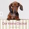 Der kleine Dackel Cover des Buches Der kleine Dackel (ISBN: 9783957280978)
