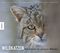 Wildkatzen Cover des Buches Wildkatzen (ISBN: 9783957282385)