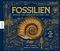 Fossilien – Schätze von Ammoniten bis zum T. Rex Cover des Buches Fossilien – Schätze von Ammoniten bis zum T. Rex (ISBN: 9783957289391)