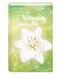 Vollendung im Licht Cover des Buches Vollendung im Licht (ISBN: 9783981884326)