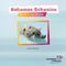 Bahamas Schweine Cover des Buches Bahamas Schweine (ISBN: 9783982061306)