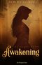 The Searchers: Awakening Cover des Buches The Searchers: Awakening (ISBN: 9783982235509)